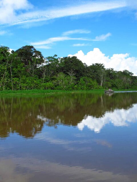 Amazon Jungle Tour 4 Días, Tambopata Lago Sandoval e Isla de los Monos